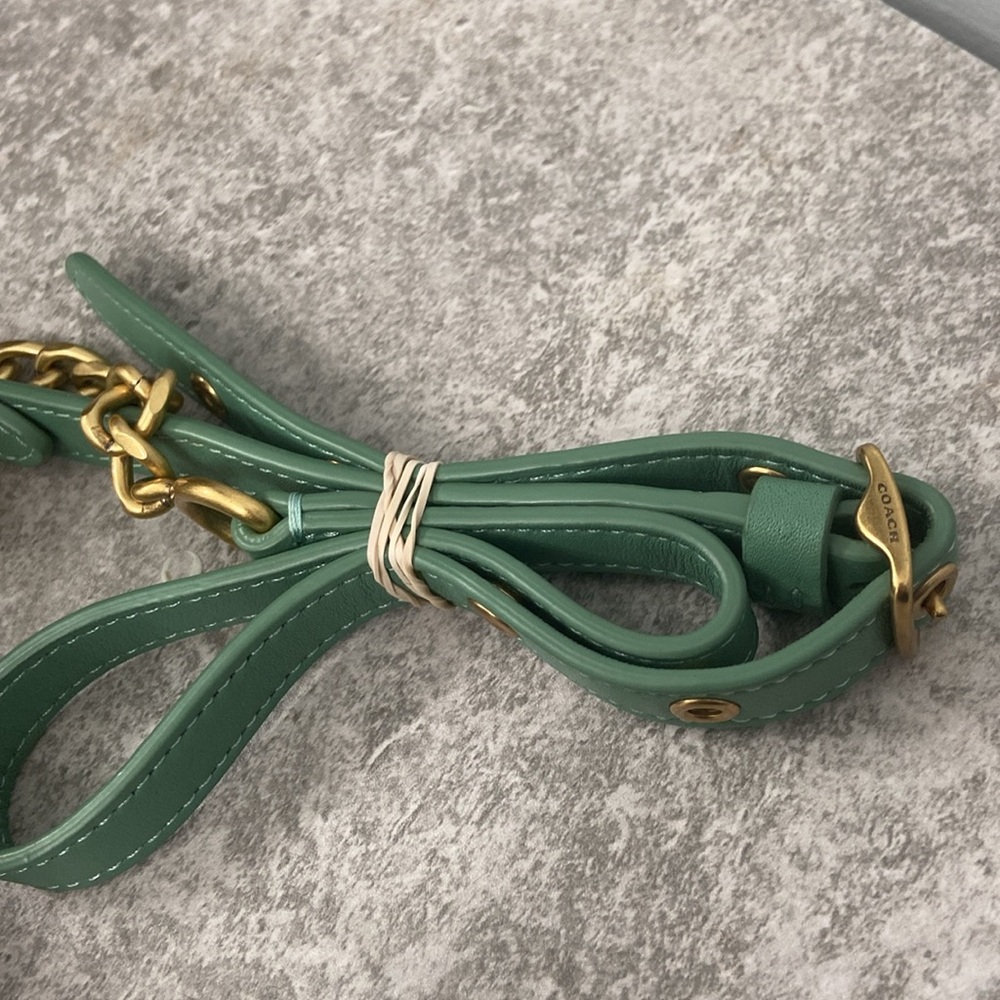 Coach Limited Edition Quilted DinkyGreen Crossbody Bag with Gold Accents - Picture 4 of 10